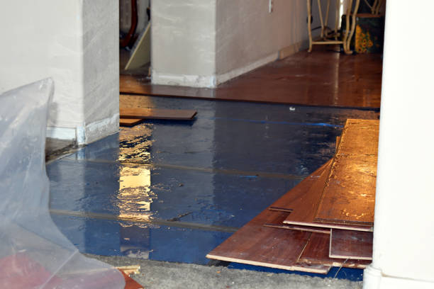 Professional Sewage Cleanup technician working in Goshen, OH